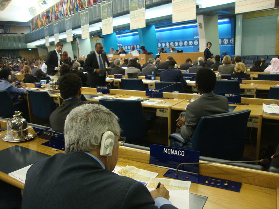 committee food and agriculture organization Resolution fao/11 2016 rome conference resolution committee: food and agriculture organization co-sponsors: commonwealth of australia, canada, republic of chile, federal. committee food and agriculture organization Resolution fao/11 2016 rome conference resolution committee: food and agriculture organization co-sponsors: commonwealth of australia, canada, republic of chile, federal.