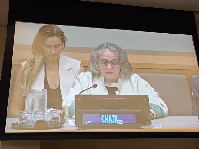 H.E. Ms Isabelle Picco elected Chair of the Meeting of States parties to the International Convention on the Elimination of All Forms of Racial Discrimination