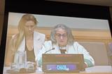 CERD © DR - CERD © DR CERD © DR - CERD © DR