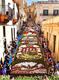 Infiorata Noto 1 2017 BD - Decorations in Nicolaci Street with motifs relating to the Principality of Monaco by Richard Seren ©DR