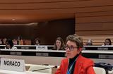 ONU – Comité pour l’élimination de la discrimination à l’égard des femmes (CEDAW) - ONU – Comité pour l’élimination de la discrimination à l’égard des femmes (CEDAW) ©DR