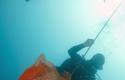 Plongeur nacres - 5 June 2019: bags for capturing juvenile noble pen shells are put in place – Principality of Monaco. © Michel Dagnino – Institute of Oceanography. Plongeur nacres - 5 June 2019: bags for capturing juvenile noble pen shells are put in place – Principality of Monaco. © Michel Dagnino – Institute of Oceanography.