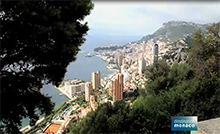Monaco: the country of bespoke business - by Daniele Riva